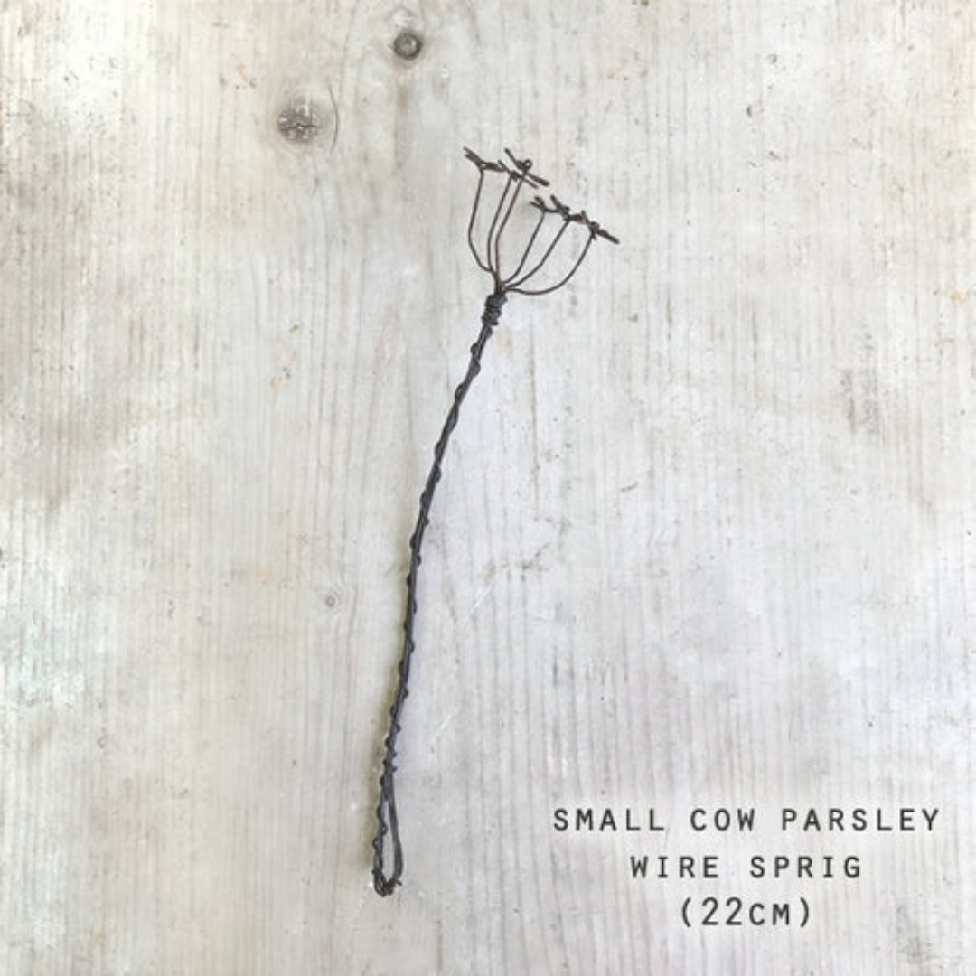 Twisted Wire Sprigs - Cow Parsley, small size pictured as a flat lay - Stocked at LOVINLIFE Co Byron Bay for all your gifts, candles and interior decorating needs