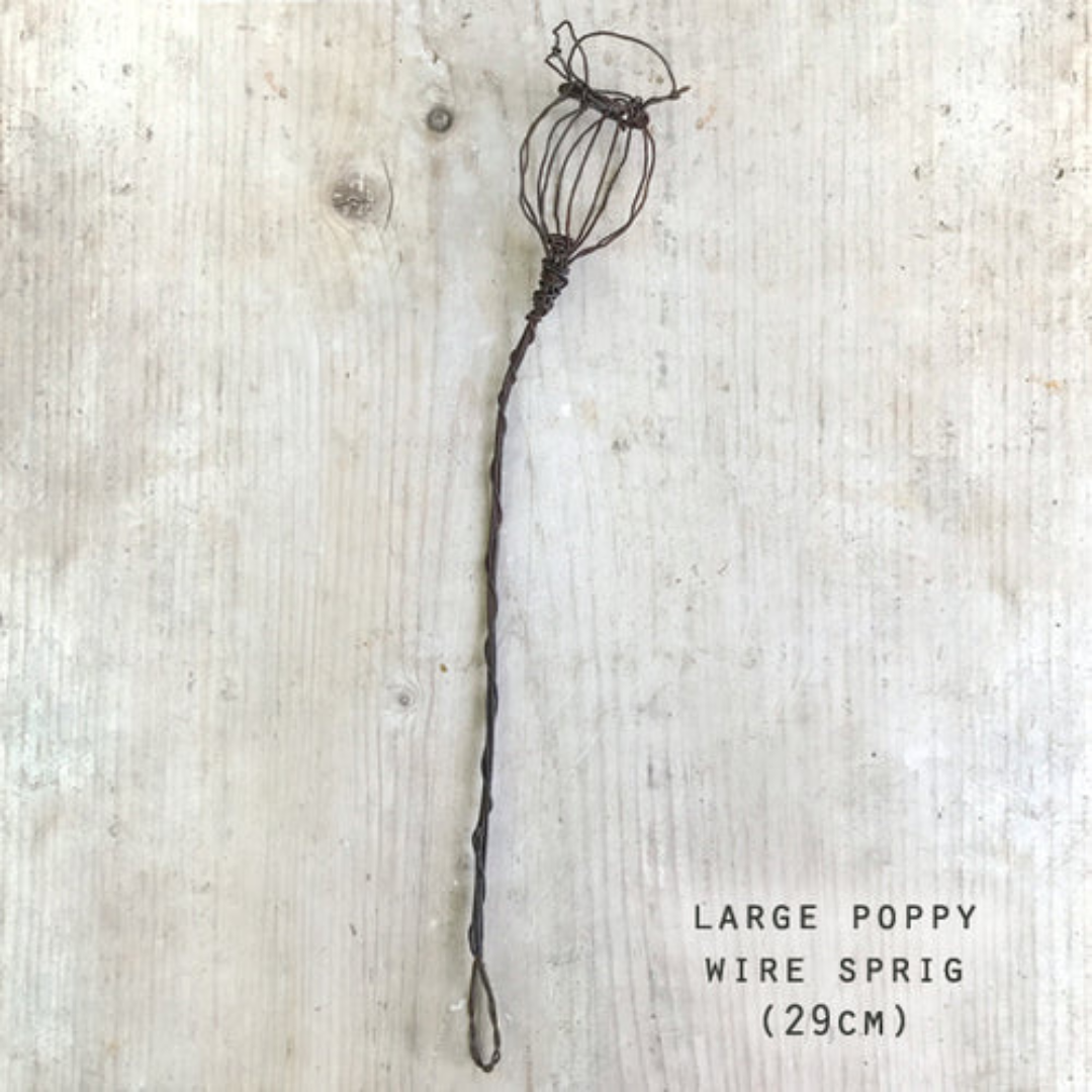 Twisted Wire Sprigs - Poppy, large size pictured as a flat lay - Stocked at LOVINLIFE Co Byron Bay for all your gifts, candles and interior decorating needs