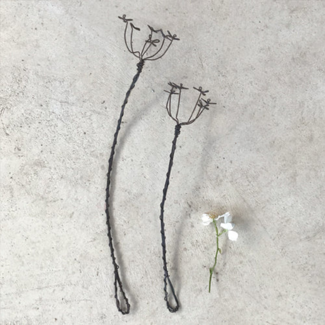 Twisted Wire Sprigs - Cow Parsley, both sizes pictured as a flat lay - Stocked at LOVINLIFE Co Byron Bay for all your gifts, candles and interior decorating needs