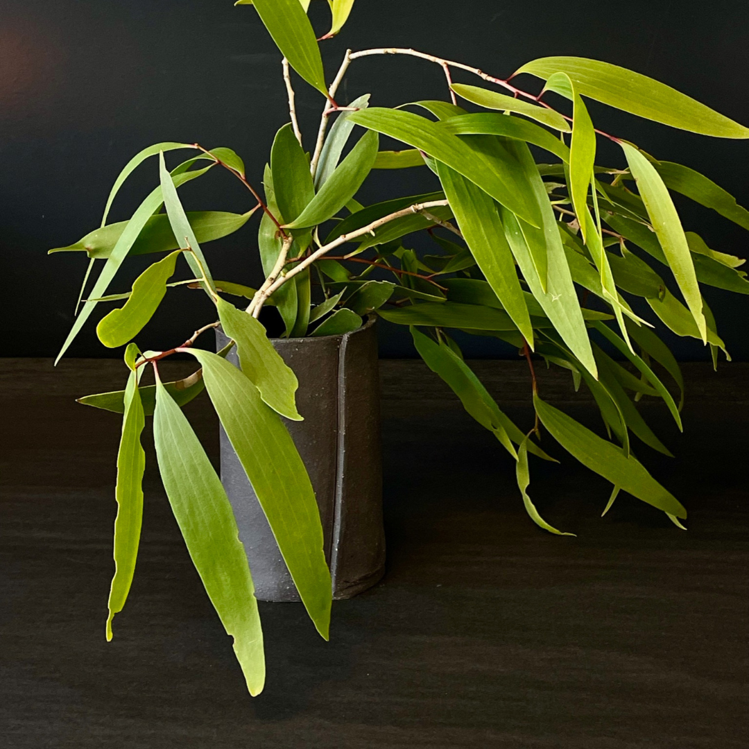 Lovinlife Co ByronBay - Handmade Signature Ceramics Range - Dark Matter Slab Series, matt black stone finish clay pieces - Slab Fold Vase pictured holding eucalyptus leaves - available at LOVINLIFE Co Byron Bay for all your gifts, candles and interior decorating needs