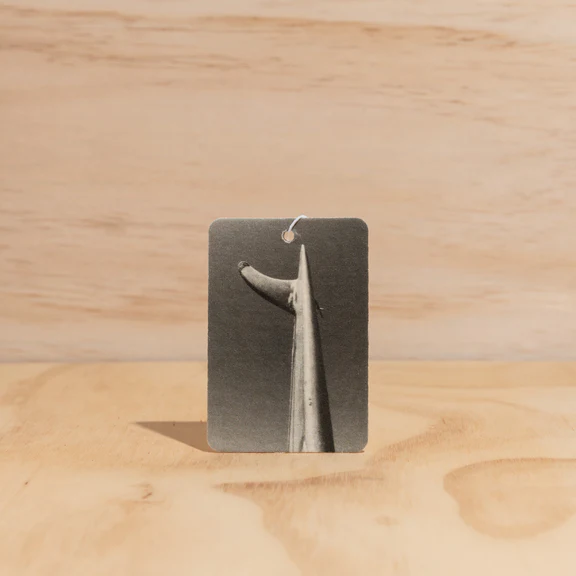 Summer design Air Freshener tags - Made from 100% post-consumer materials - Mali scent Blends coconut and lime sublime, take me for cocktails on the beach, with a summer breeze and palm trees - Fin tag pictured - Stocked at LOVINLIFE Co Byron Bay for all your gifts, candles and interior decorating needs