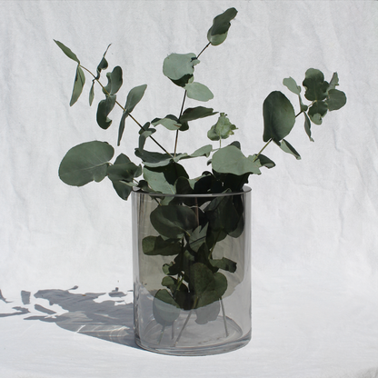 Cylinder Glass Candle Holder / Vase from Francalia in Lustre Black, pictured holding a bunch of leaves on a white background - Stocked at LOVINLIFE Co Byron Bay for all your gifts, candles and interior decorating needs