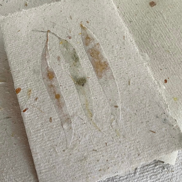 Flat lay close up of the texture of a Hand Pressed Paper A5 Notebooks 20 page in white, with the cover  impressed with 3 x Australian Gum leaves. Stocked at LOVINLIFE Co Byron Bay for all your gifts, candles and interior decorating needs 