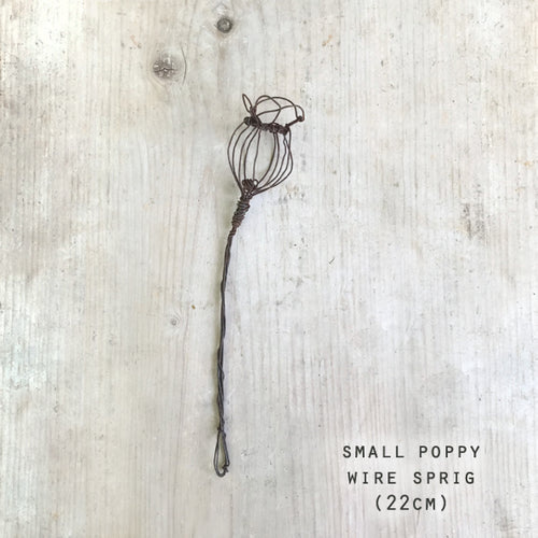 Twisted Wire Sprigs - Poppy, small size pictured as a flat lay - Stocked at LOVINLIFE Co Byron Bay for all your gifts, candles and interior decorating needs