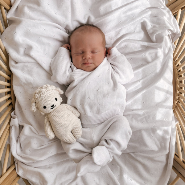 New born Baby sleeping in a crib showcasing an 100% organic cotton 4-piece Heirloom Knit Baby Gift Set in white with a knitted toy by their side. Set by Aster & Oak and Stocked at LOVINLIFE Co Byron Bay for all your gifts, candles and interior decorating needs