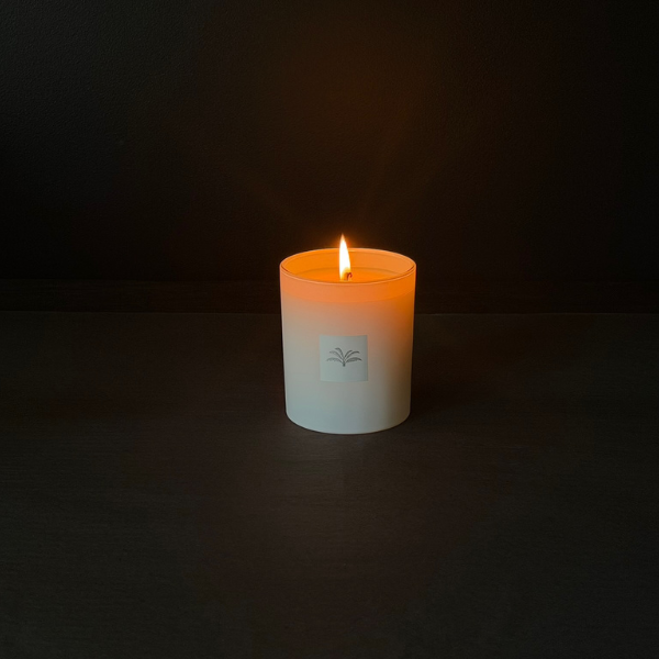 Large Jar Candle LovinlifeCo - Byron Bay Blend