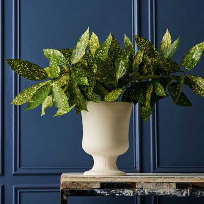 Green potted plant in a white vase against a dark blue wall. Vase Vintage Trophy Life - Devon. Part of the Robert Gordon Collection stocked at LOVINLIFE Co Byron Bay for all your gifts, candles, homewares and interior decorating needs