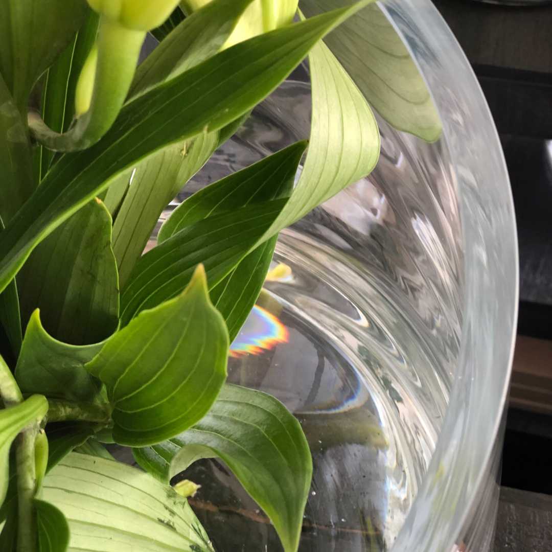 Round Base Candle Holder / Vase from Francalia in Clear, close up picture showing thickness of glass holding some plant foliage - Stocked at LOVINLIFE Co Byron Bay for all your gifts, candles and interior decorating needs