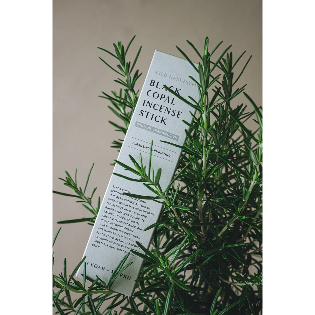 Cedar and Myrrh Black Copal Hand Rolled Incense Stick - box pictured in rosemary branches - Stocked at LOVINLIFE Co Byron Bay for all your gifts, candles and interior decorating needs