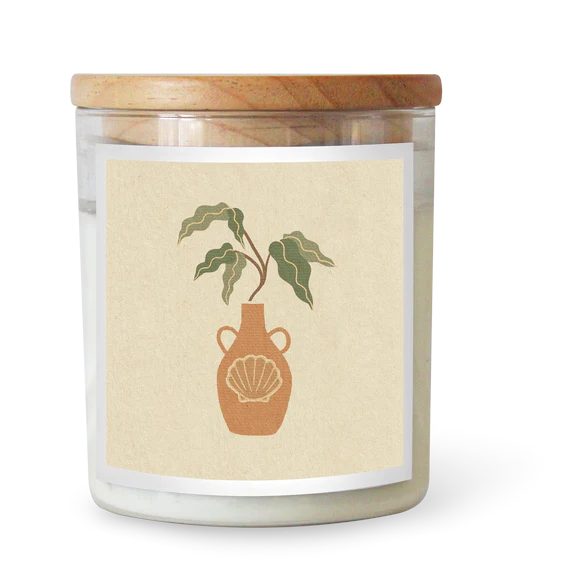 Candle - Commonfolk Art Houseplant Shell ft Roam Slow Studio - Stocked at LOVINLIFE Co Byron Bay for all your gifts, candles and interior decorating needs